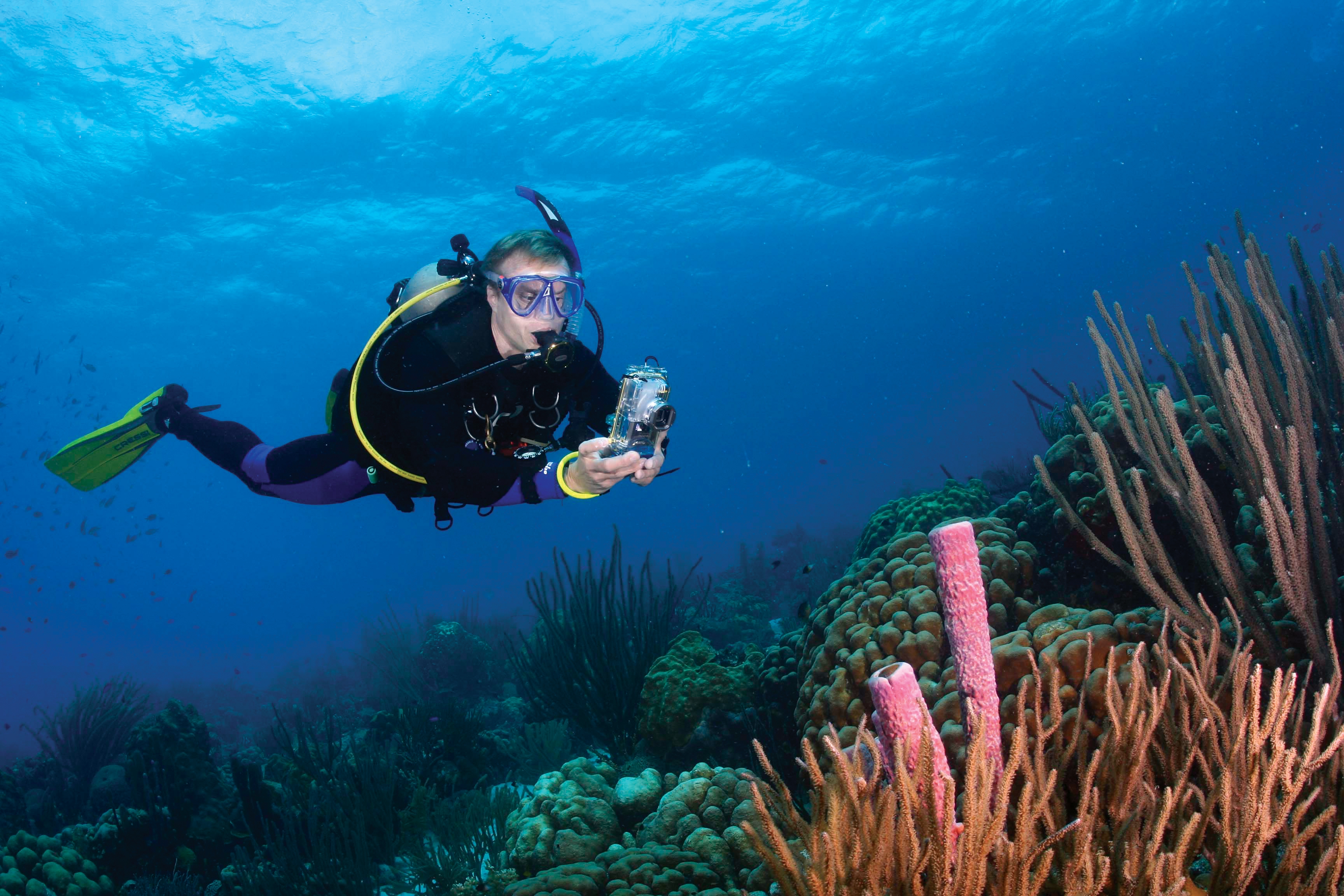 dive1.JPG